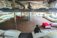 Applications open for Venice expo