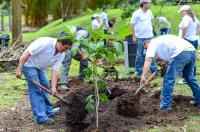 Costa Rica Plants a Tiny Urban Forest in Curridabat