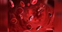 Researchers develop tool to estimate biological age of cell