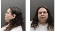 What we know about suspected would-be New York State Capitol bomber Jessica Bowie