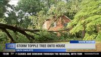 Severe weather roars through Charlotte on Friday night, downs trees and power lines
