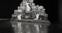 Artist Orla Barry presents life and its deepest strands through the prism of sheep