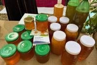 Kyrgyzstan earns more than $660,000 from honey exports in six months