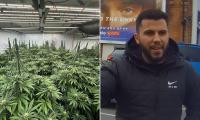 Is there an Albanian cannabis farm on YOUR street? Our six-month investigation identified HUNDREDS of illicit sites across the country... and most are in residential homes. This is how they do it