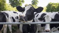 Farming bailouts a barrier to climate-resilient food system