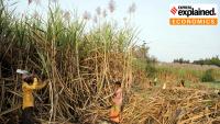 Why ethanol diversion is not to blame for soaring sugar prices