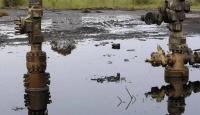 Energy transition: CSOs demand greater role for Niger Delta communities