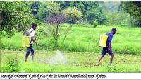 Pesticide Exposure Raises Kidney, Heart Health Concerns Among Farmers: KMCRI Study