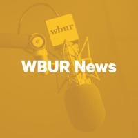 Breaking down the primary election results in Massachusetts
