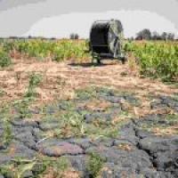 Hungary Drought Crisis: 99 Percent of Country Faces Severe Water Scarcity