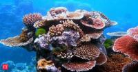 In the 1950s, U.S. nuclear tests were conducted at Bikini and Enewetak; decades later, Guam corals preserved carbon-14 spikes linked to tests in 1954, 1956, and 1958