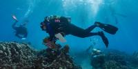 Hawaii’s coral reefs are covered by insurance. Hurricane Lala triggered a payout
