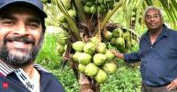 Madhavan transforms barren land into lush coconut farm in Tamil Nadu. Actor shares 3 lessons from his sustainable farming journey