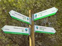 Costa Blanca towns receive funding to protect forests from fires and climate change