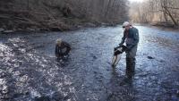 Researchers find microplastics in insects from Schuylkill River watershed