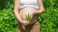 Why more pregnant women think it's OK to use marijuana for nausea, stress