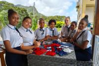 Russian language, songs and tricolour: Russian Flag Day celebrated in Seychelles