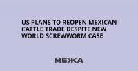 US Plans to Reopen Mexican Cattle Trade Despite New World Screwworm Case