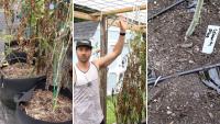 North Carolina gardener shares the preventable mistakes that doomed his container garden