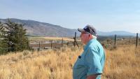 Crops sacrificed, losses mount for B.C.  farmers grappling with historic drought