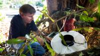 What else do mosquito control chemicals kill? Butterflies, bees
