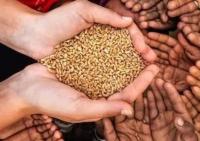 How has the Dominican Republic managed to be the last country to reach zero hunger?