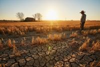 EU food production down amid droughts, economists warn