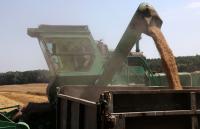 Kyiv Seeks to Renegotiate EU Agricultural Export Quotas in September