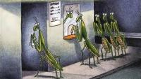 10 Best Far Side Comics About Movies