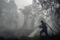 85,000 Hectares of Indonesia's Company Concessions Hit by Fires