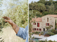 Come and Connect with the Rhythm of the Land: Querubi Launches Inaugural Harvest Retreat