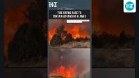 Spain Wildfire: Firefighters Take On Sierra Calderona Blaze From Land and Air