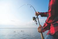 Wildlife Board approves trout plan, fee increases and new regulations