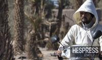 Morocco’s heat wave to ease gradually as temperatures near seasonal averages