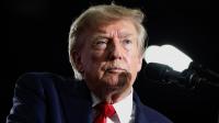 US judge strikes down Trump's 75-country visa ban