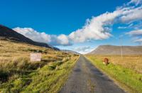 Government rejected plan to migrate Gaeltacht population to better land in 1926