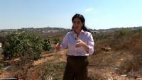 Settlers target Palestinian homes in Occupied West Bank’s Area B