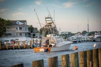 Man catches 1260-pound Atlantic blue marlin believed to break East Coast record