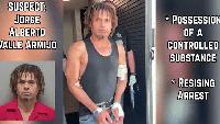 Bodycam video shows suspect run from Florida traffic stop before Taser arrest
