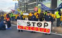 MERCOSUR collapsing? EU blocks Brazilian meat over sanitary rules: Spanish farmers say ‘we told you so’