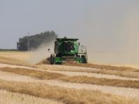 Uneven rainfall brings moisture relief but delays harvest across province