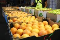 South African Citrus Gains Access to India