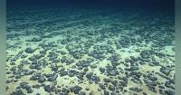 US advances first deep-sea mining lease sale off American Samoa