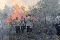 Responders fight spreading wildfire in Indonesia's Way Kambas Park