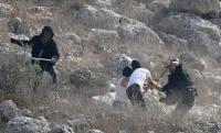 Palestinian injured in settler attack in Al-Rakeez village, south of Hebron