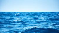 Panama-flagged ship carrying iron ore sinks off Odisha with 24 on board; rescue operation launched