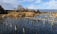 Record-Low Water Levels at Lake Velence Highlight Hungary’s Worsening Water Crisis