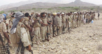 [Relative Calm Reported on Yemen Frontlines Amid Ongoing Drone Strikes , Military Build-Up