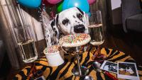 Travel Alerts: Breakfast pillows, skiing with rosé and dog-friendly hotel stays