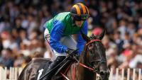 Irish jockey airlifted to hospital after heavy fall at Killarney Racecourse